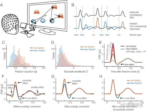 思影科技眼動(dòng)數(shù)據(jù)處理服務(wù)與軟件開發(fā)，賦能精準(zhǔn)視覺洞察